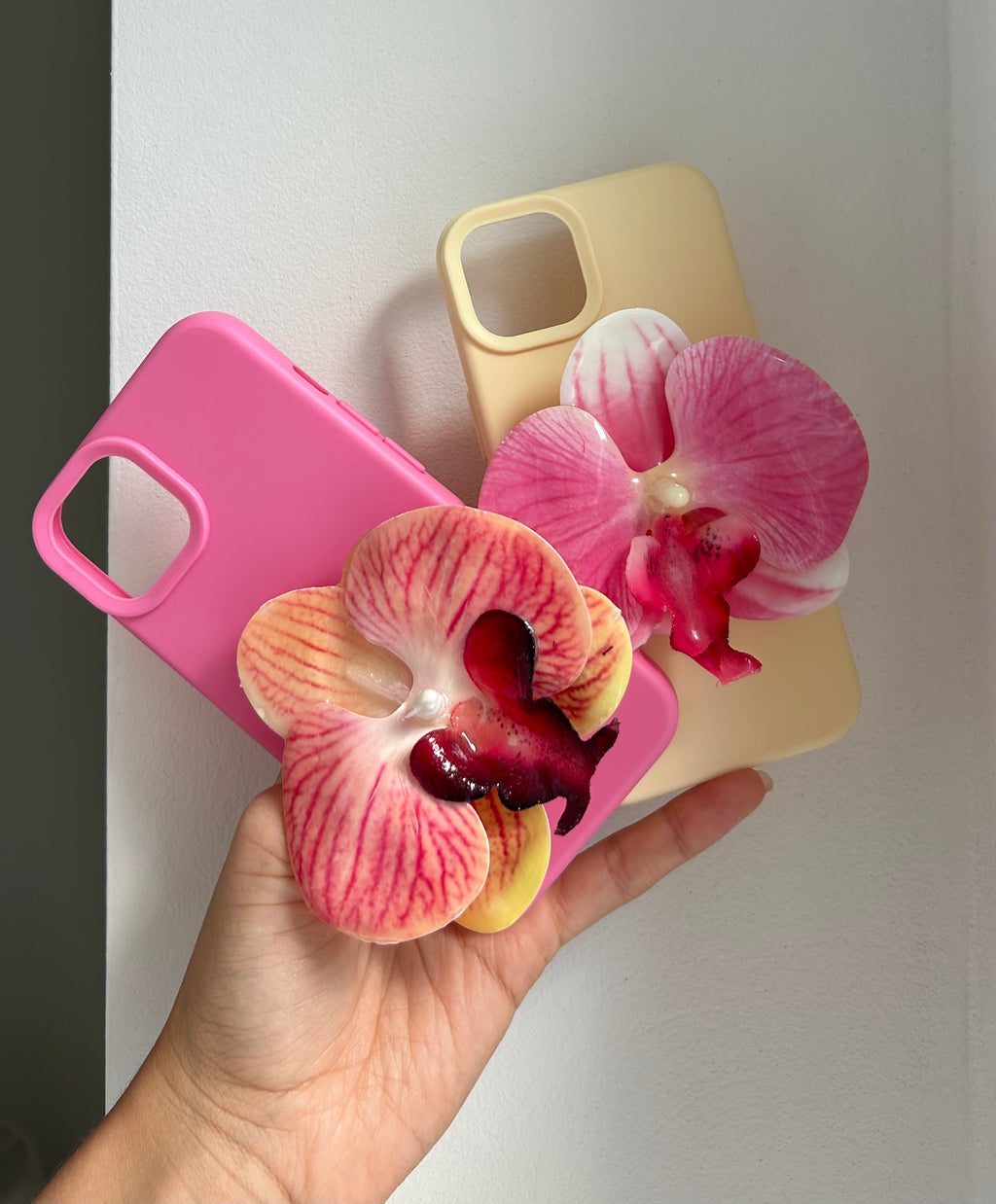Candy Bloom