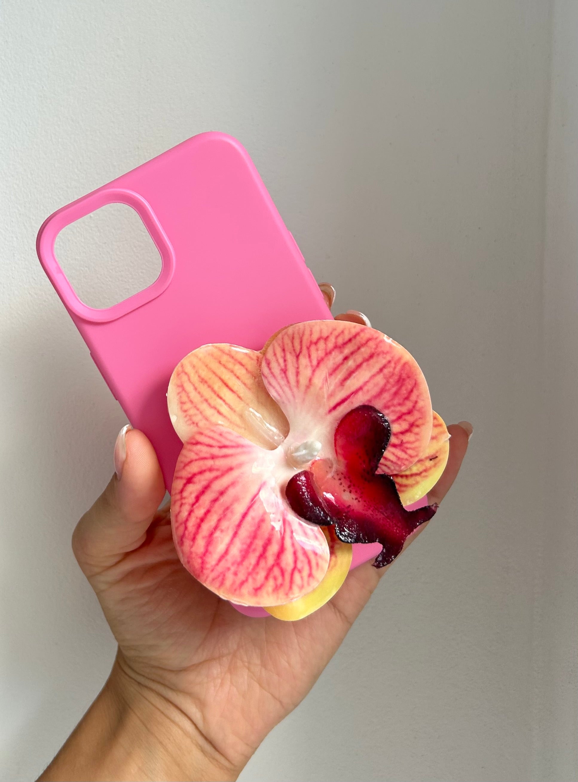 Candy Bloom
