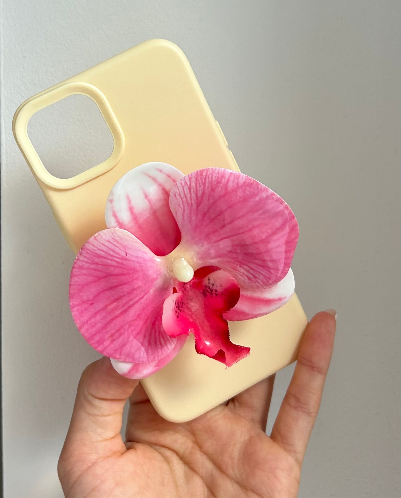 Blush Orchid